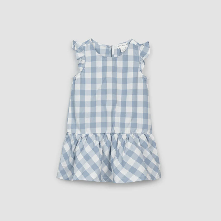 Poplin Gingham Baby Dress - Dusty Blue